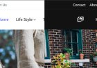 Website & Subdomain